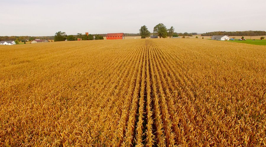 MAJOR LAND AUCTION - 315+/- ACRES IN 16 TRACTS - 6 PROPERTIES IN WHITLEY & ALLEN COUNTIES, INDIANA